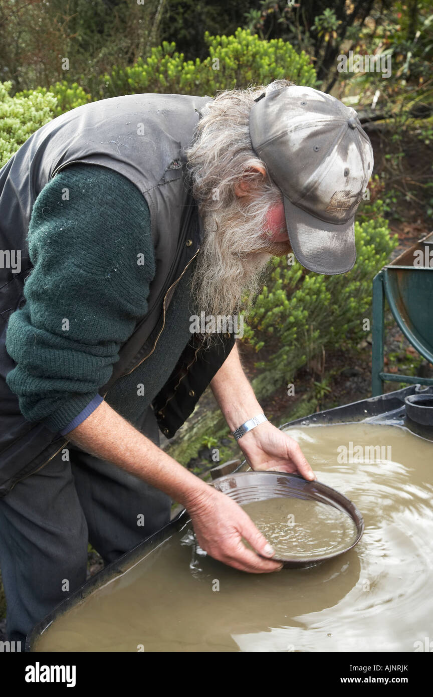 Gold Panning with The Bearded Miners Reefton West Coast South Island New Zealand Stock Photo