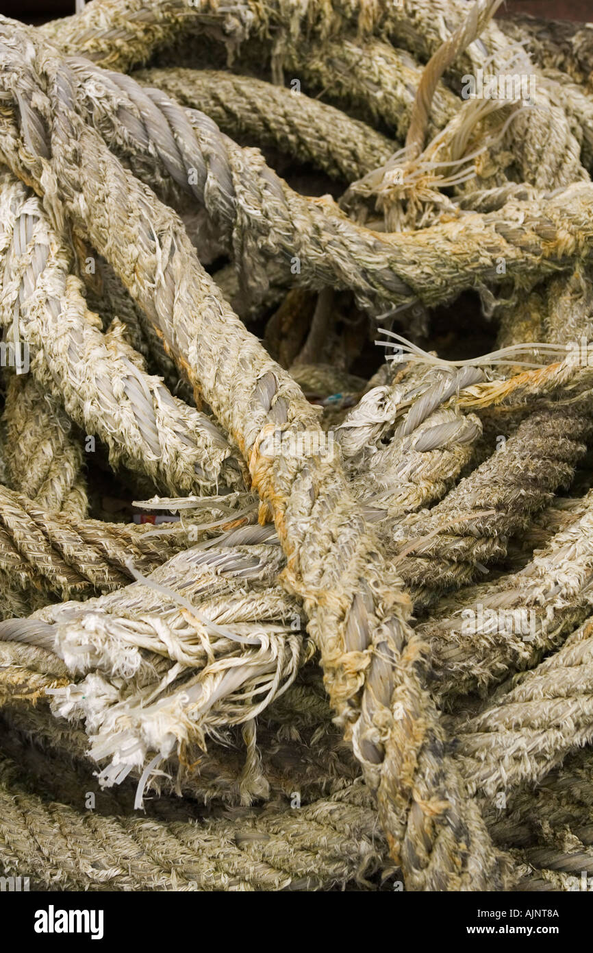 Close up of coiled rope Stock Photo - Alamy
