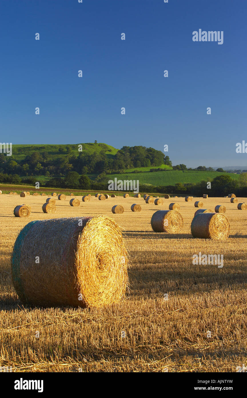 straw bales in a field near South Cadbury with Cadbury Castle (Iron Age
