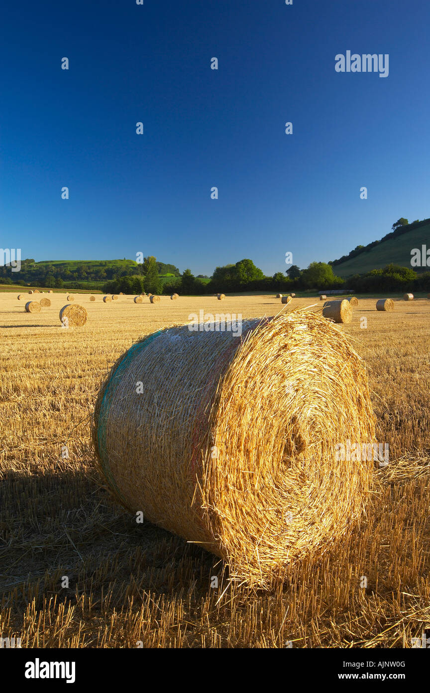 straw bales in a field near South Cadbury with Cadbury Castle (Iron Age