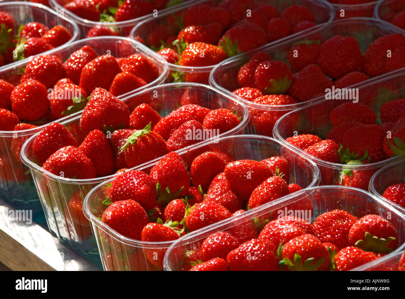 STRAWBERRIES PUNNETS SUNLIT Freshly picked, ripe, sunlit strawberries, in punnets on outdoor farmers market stall Stock Photo