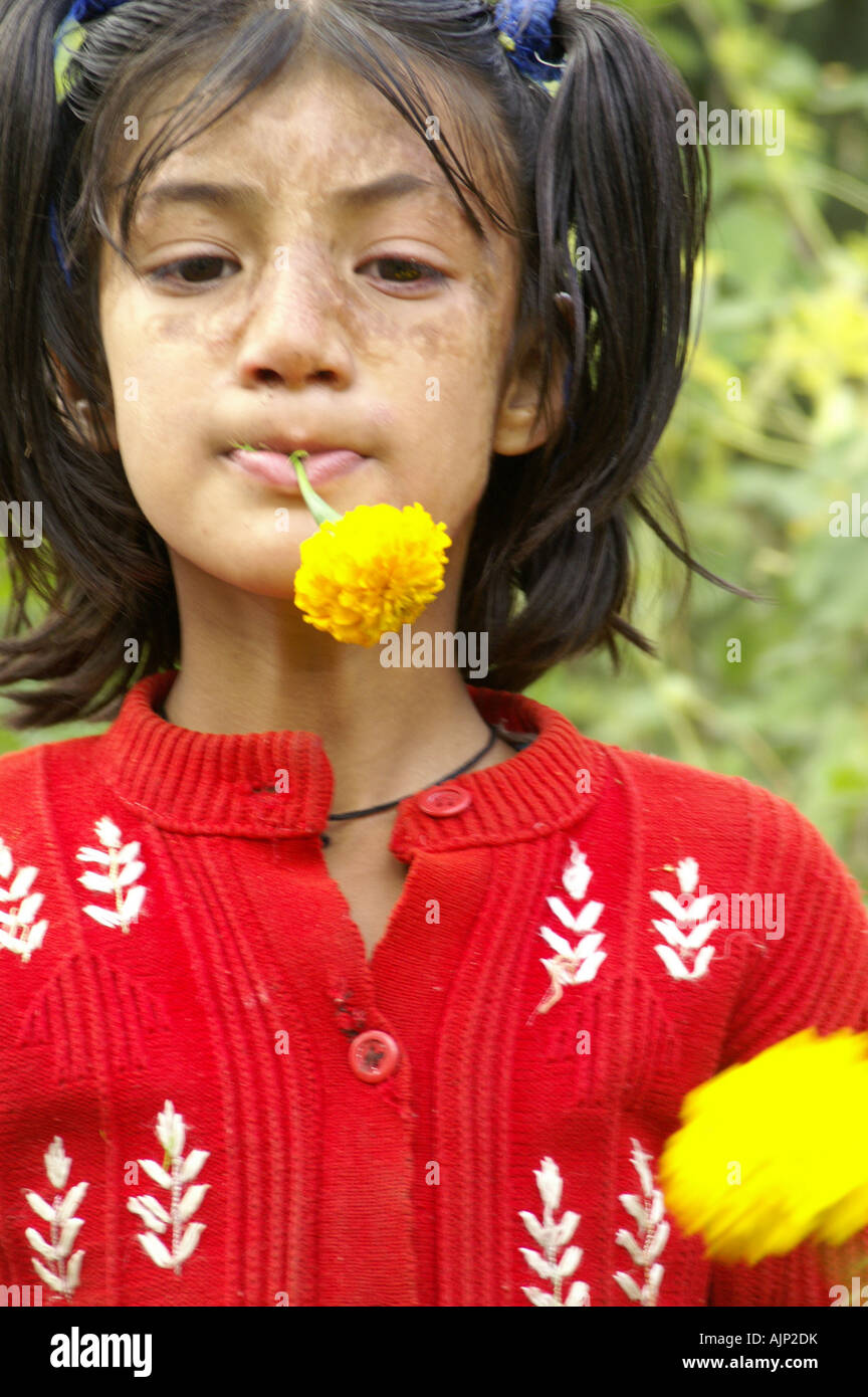 One young indian girl child making funny faces chewing yellow flower plant  outdoors Stock Photo - Alamy