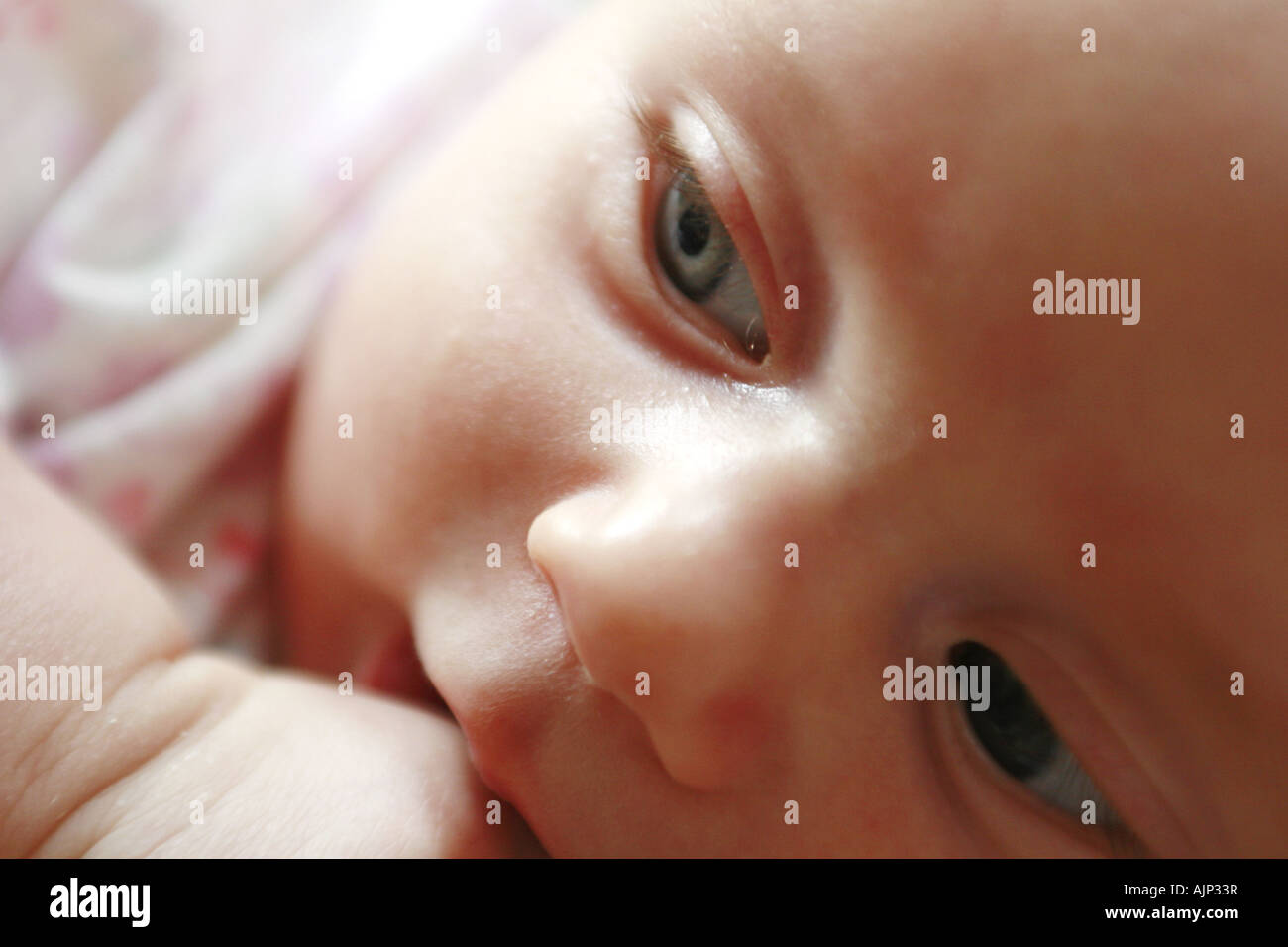 Portrait of baby girl a few months old Stock Photo - Alamy