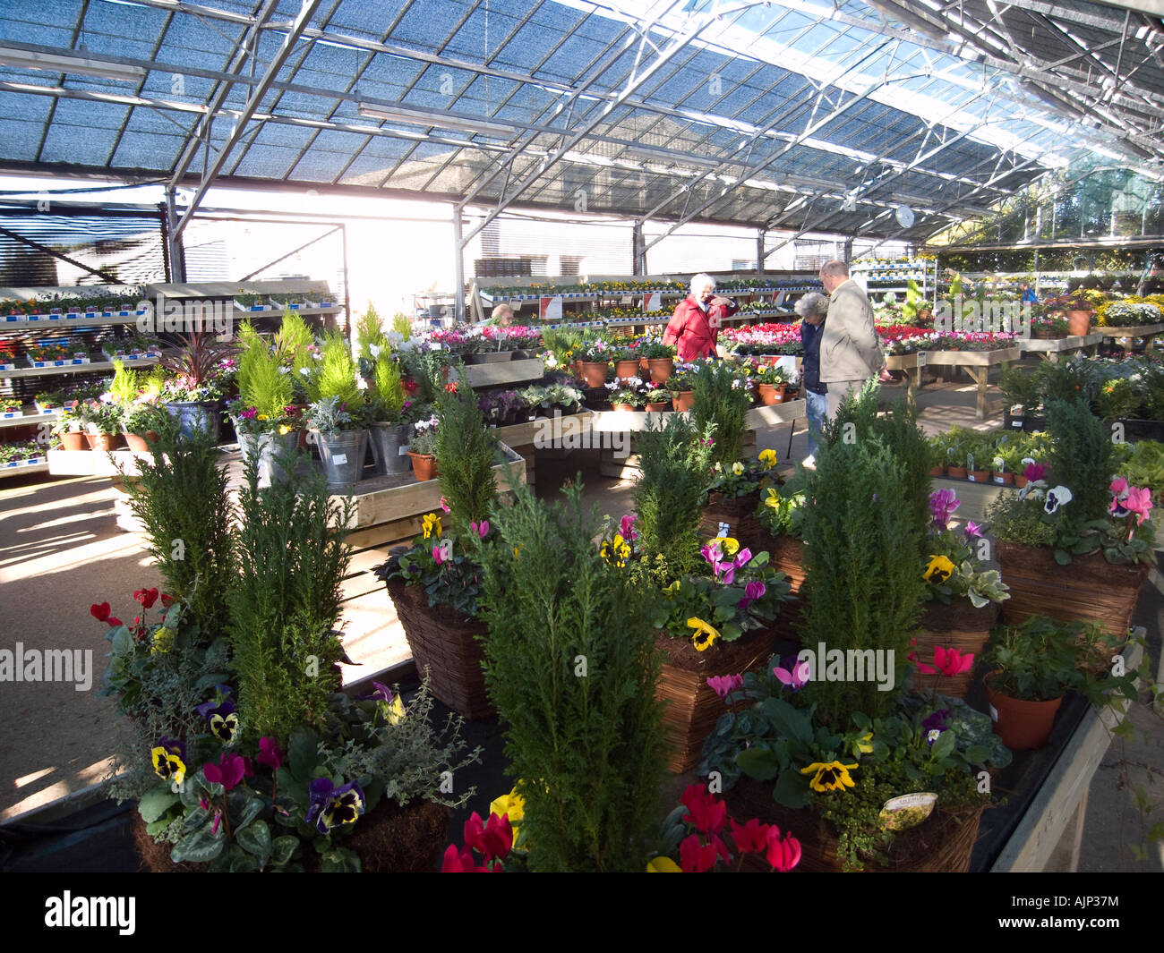 People buying plants in a UK garden centre Stock Photo Alamy