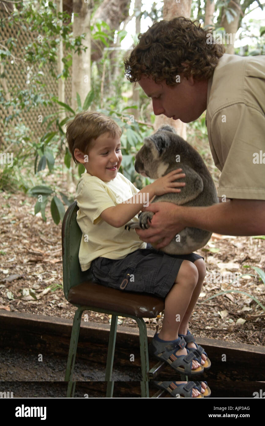 Young boy child being handed a Koala bear in Lone Pine Koala Sanctuary wildlife reserve zoo Brisbane Queensland QLD Australia Stock Photo