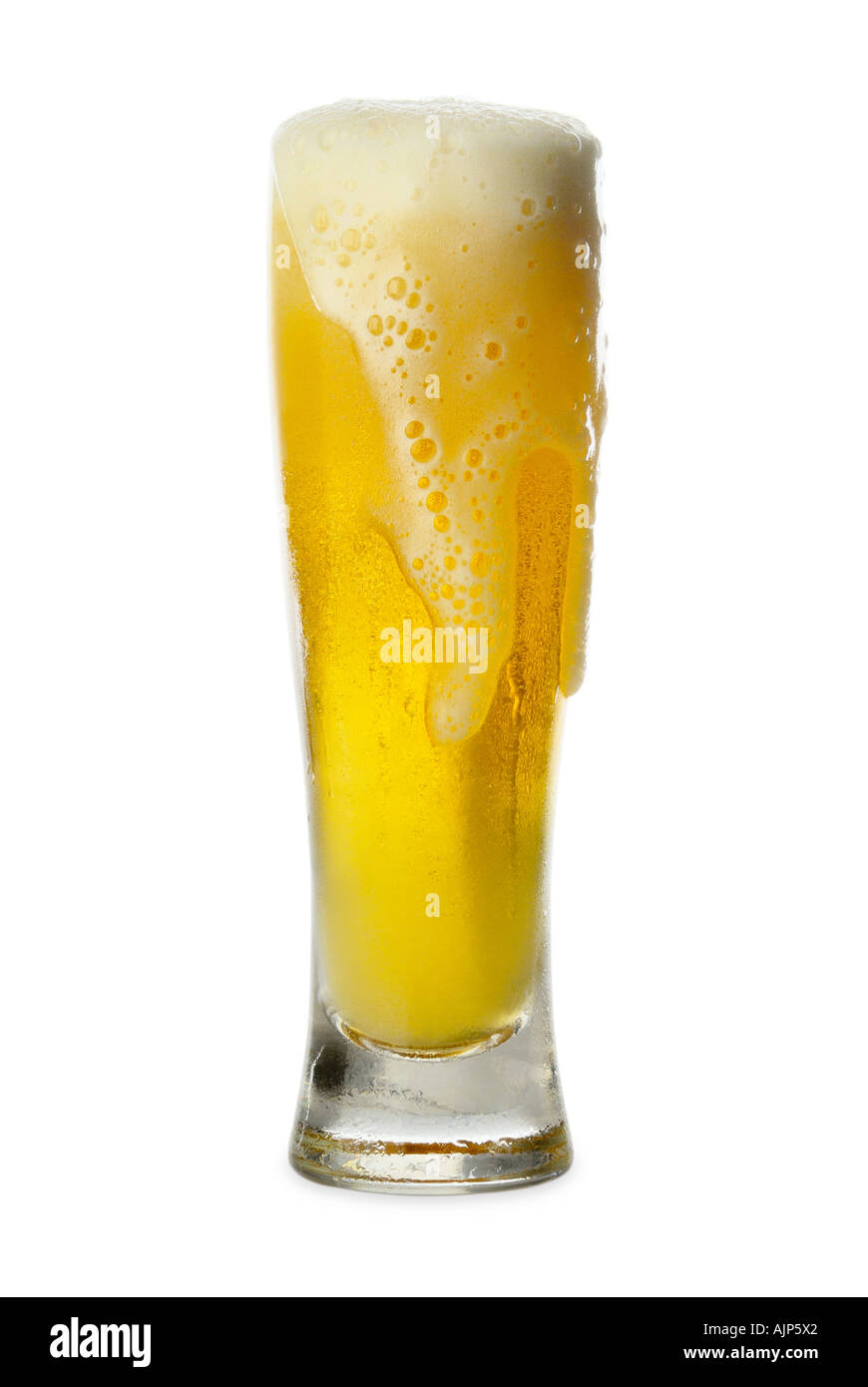 BEER PILSNER GLASS OF AMBER BEER SILHOUETTED ON WHITE BACKGROUND Stock Photo