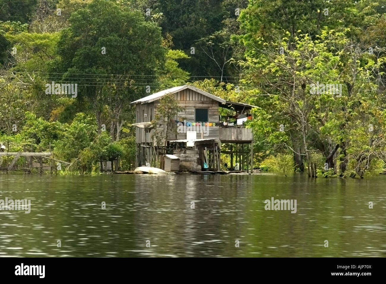 House on stilts Solimoes river Amazonas Brazil Stock Photo Alamy