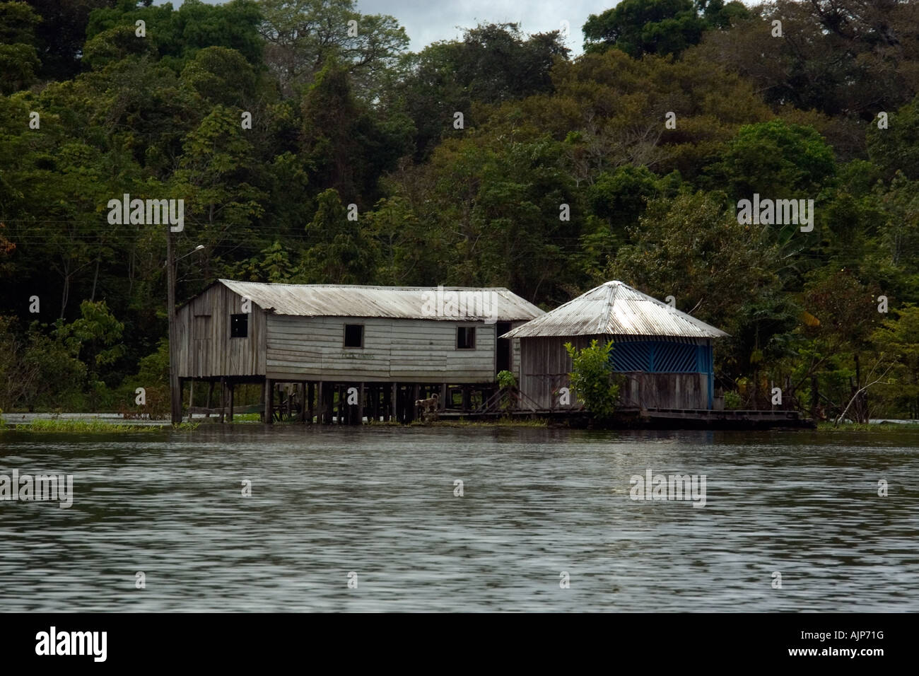 House on stilts Solimoes river Amazonas Brazil Stock Photo Alamy