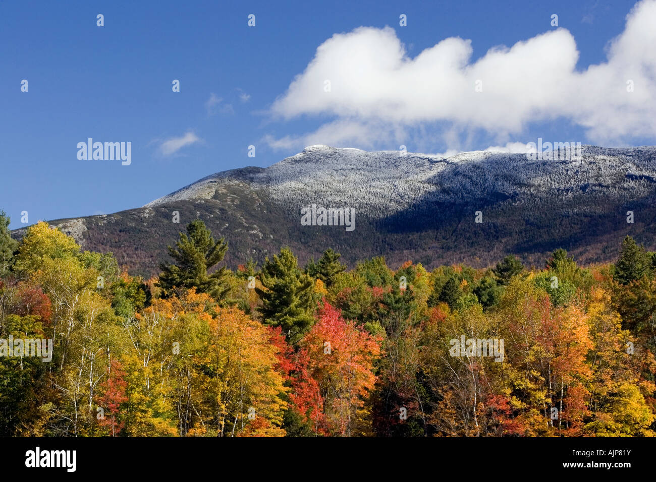 Fall foliage color with frost and snow on the summit of Mt. Mansfield