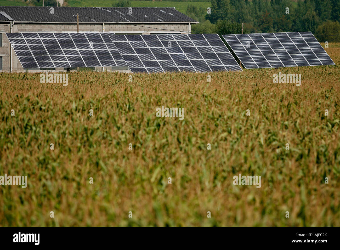 Solar farm on farmland hi-res stock photography and images - Alamy