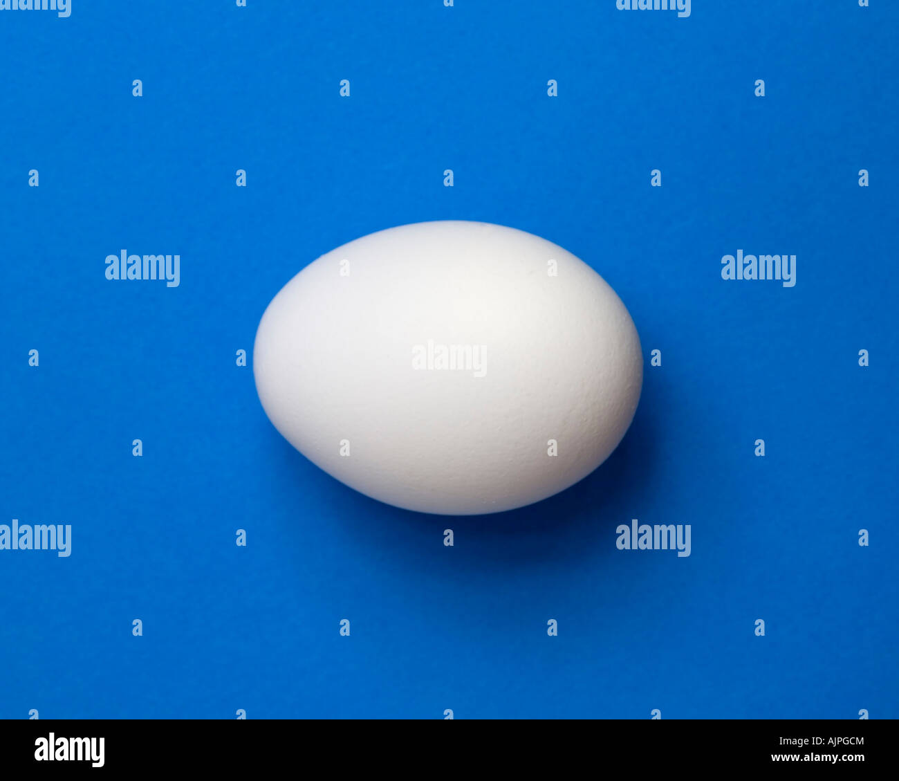 A white egg with blue background Stock Photo Alamy