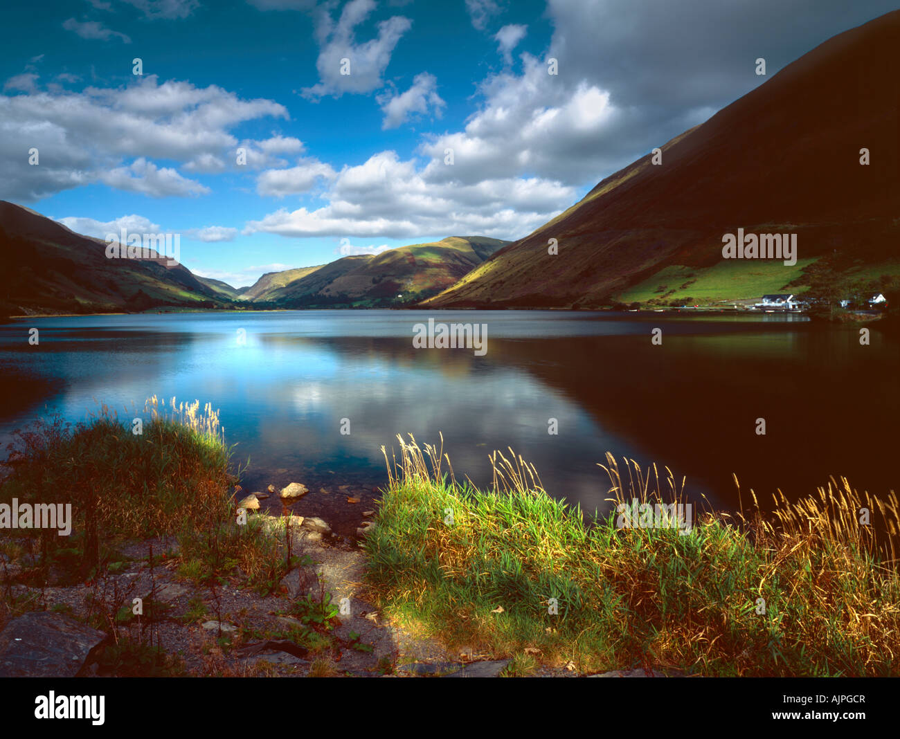 Tal-y-Llyn Lake Nr Abergynolwyn Snowdonia National Park  Wales UK Stock Photo