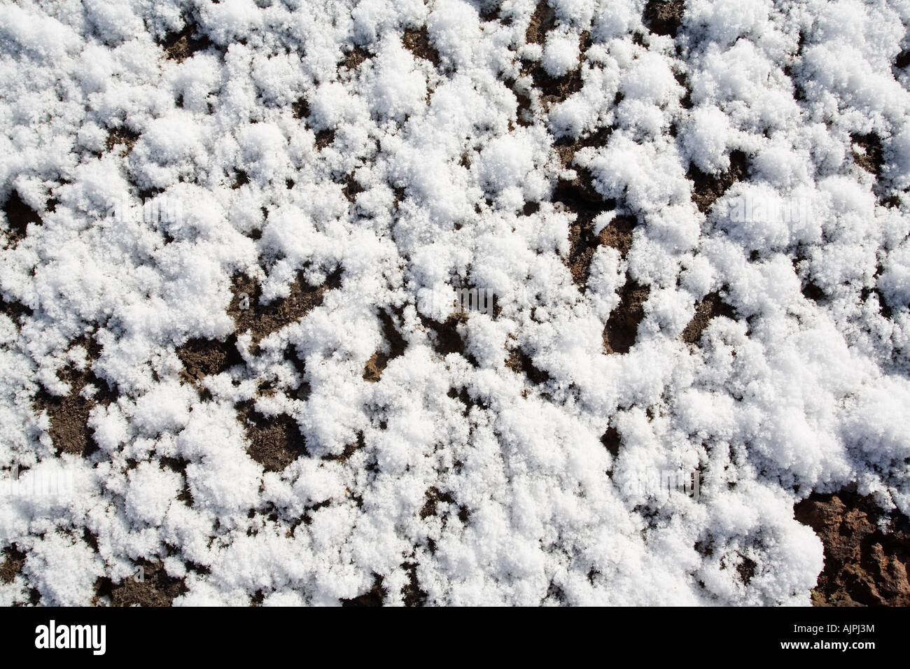 Close up of snow crystals Stock Photo