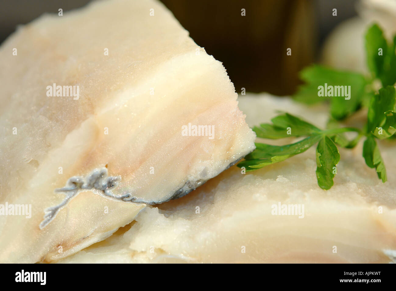 Close-up of codfish Stock Photo