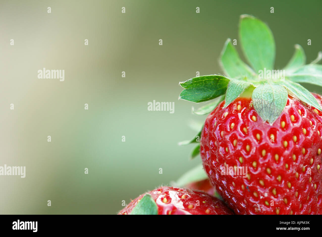 Close-up of a strawberry Stock Photo - Alamy
