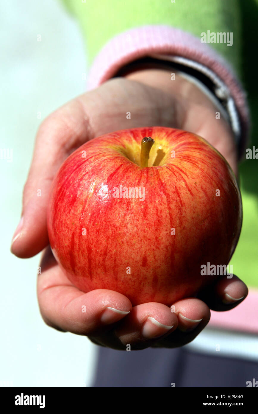 Woman offering apple Stock Photo