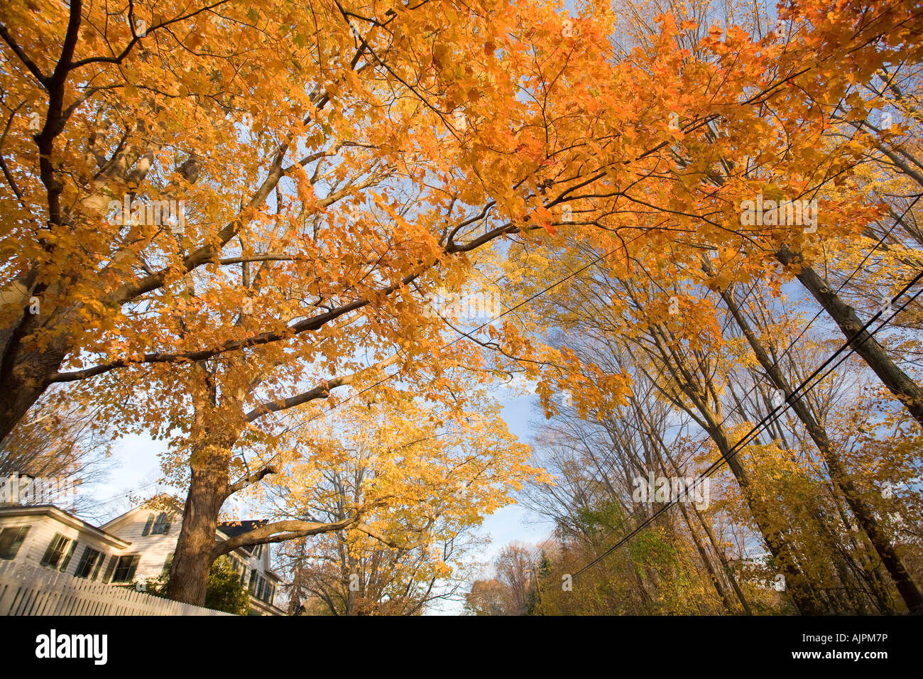 Fall landscape, Wilton, Connecticut, USA Stock Photo