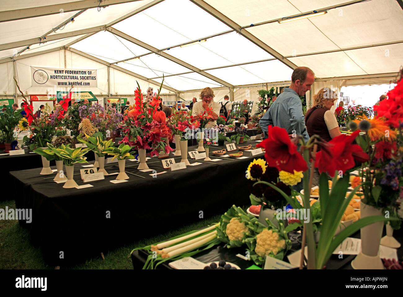 0015 Flowers Kent Show Detling Kent England Stock Photo Alamy