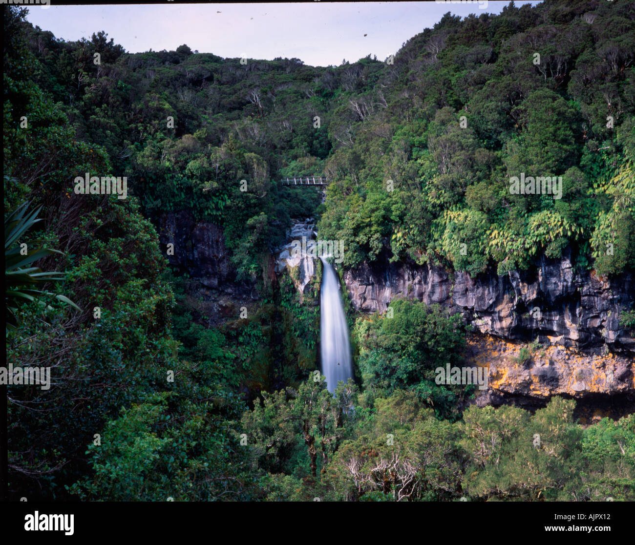 New Zealand Mount Egmond national park north island Dawson falls Stock