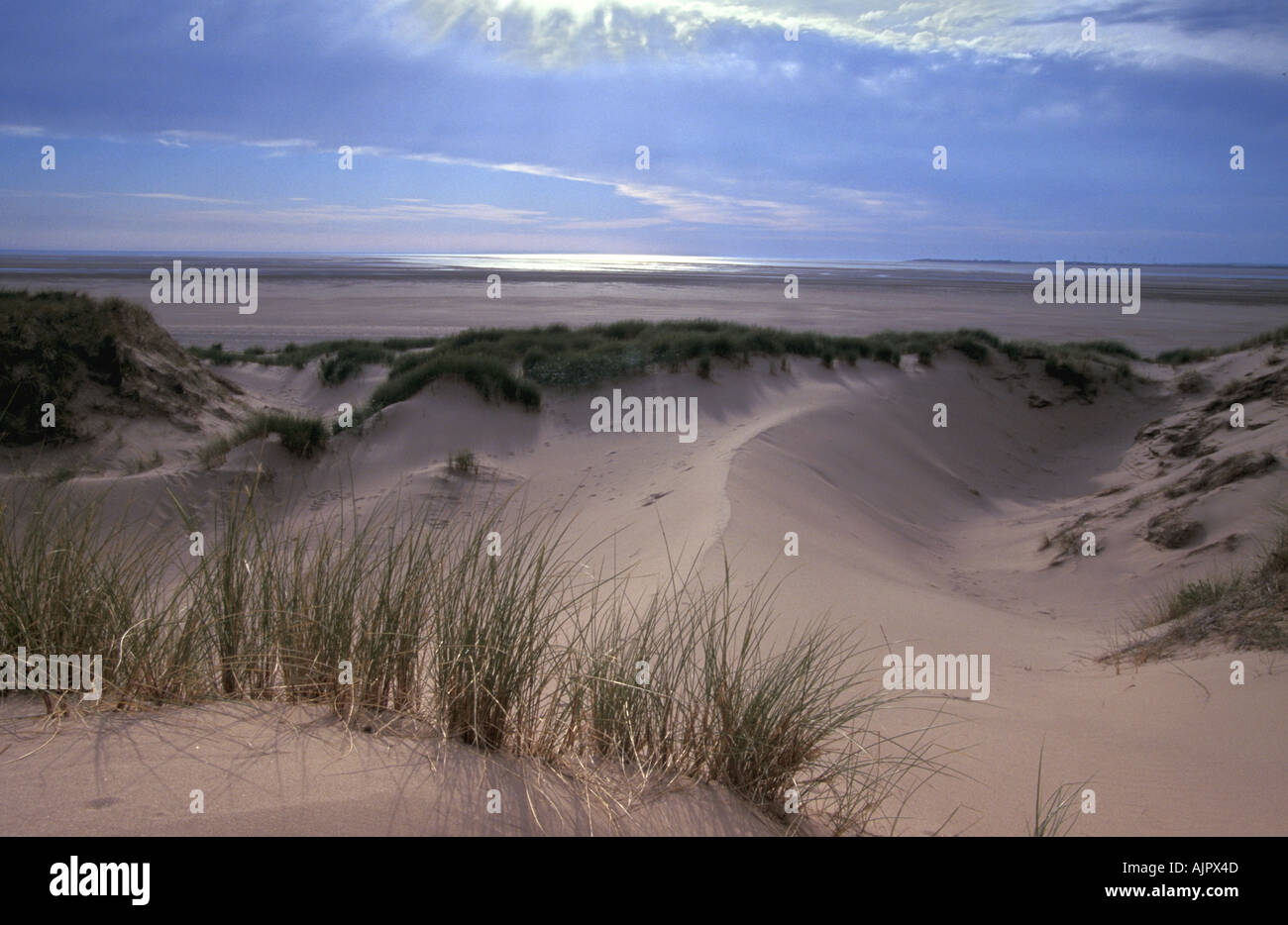 Sand Dunes And Beach At Saltfleetby Theddlethorpe National Nature Reserve Lincolnshire England Stock Photo Alamy