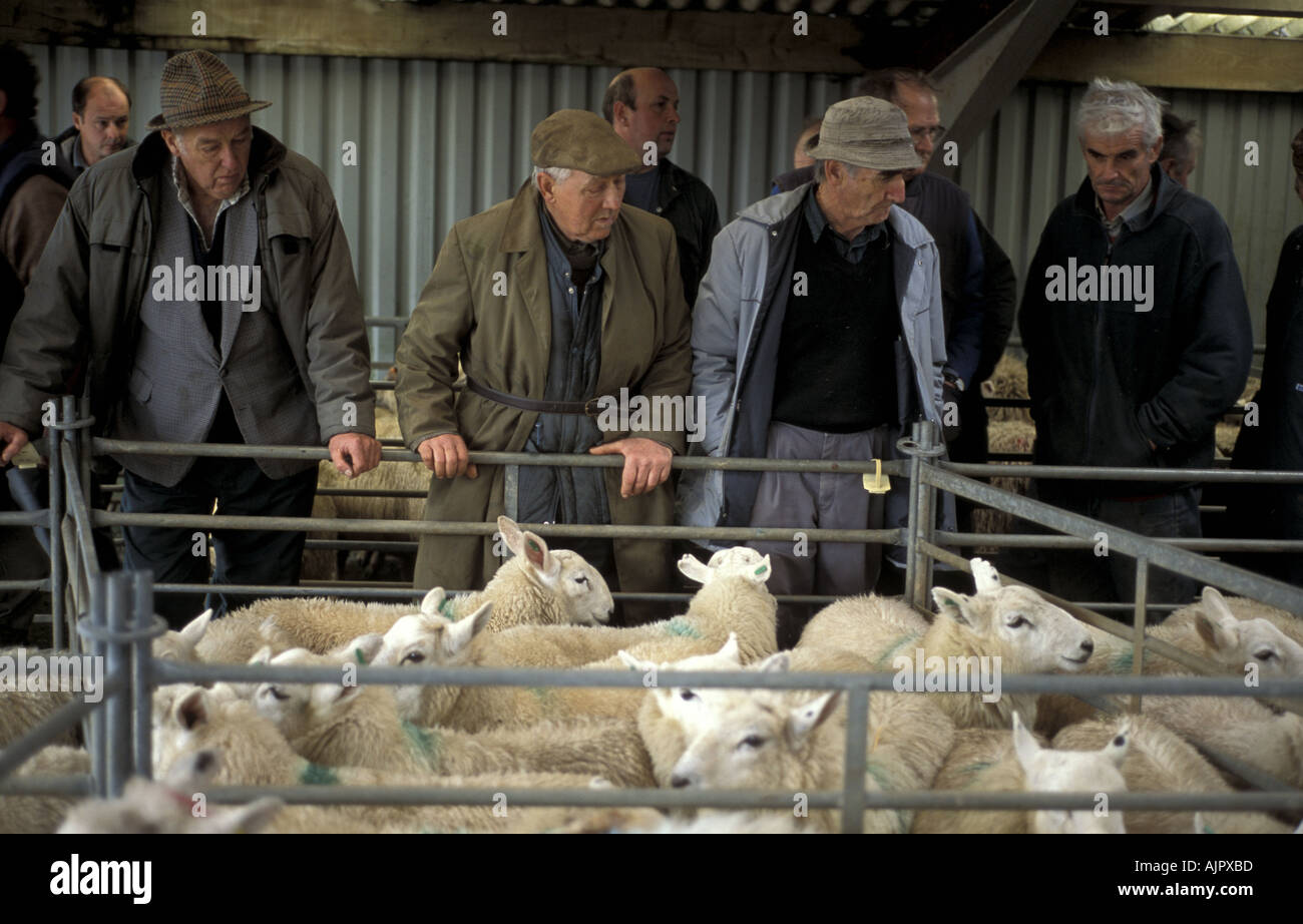 Hallworthy hires stock photography and images Alamy