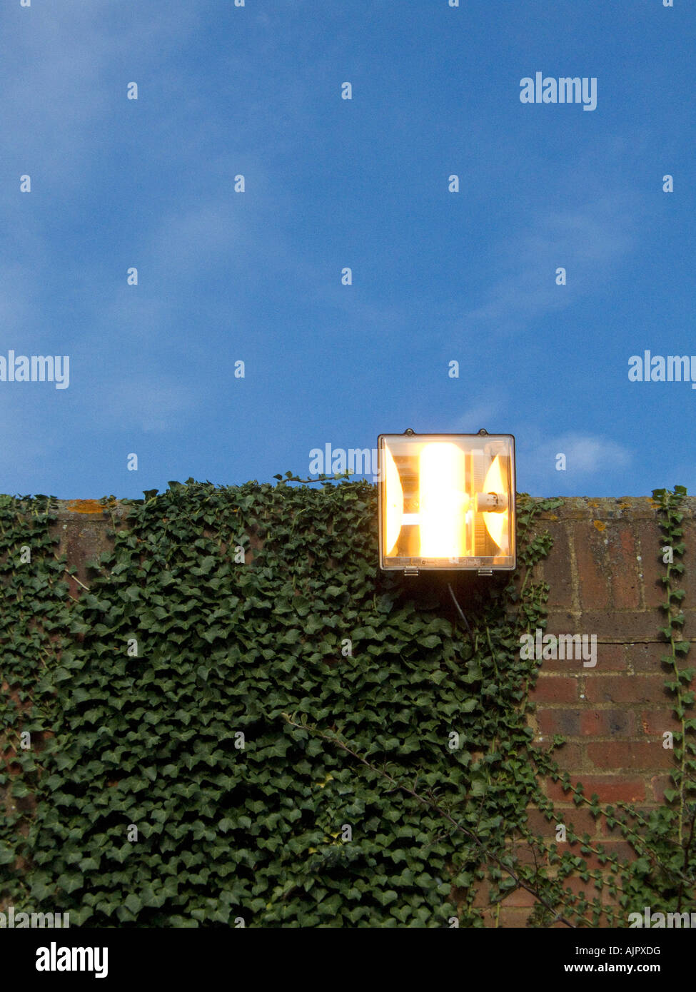 Bright lights burning during daylight Stock Photo Alamy