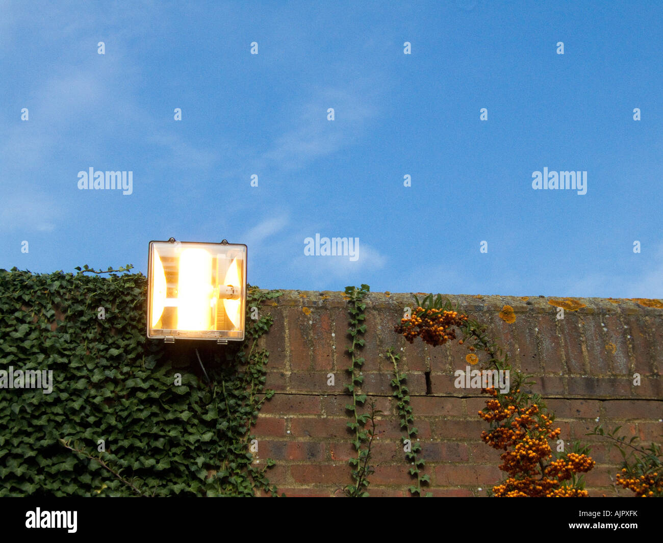 Bright lights burning during daylight Stock Photo Alamy