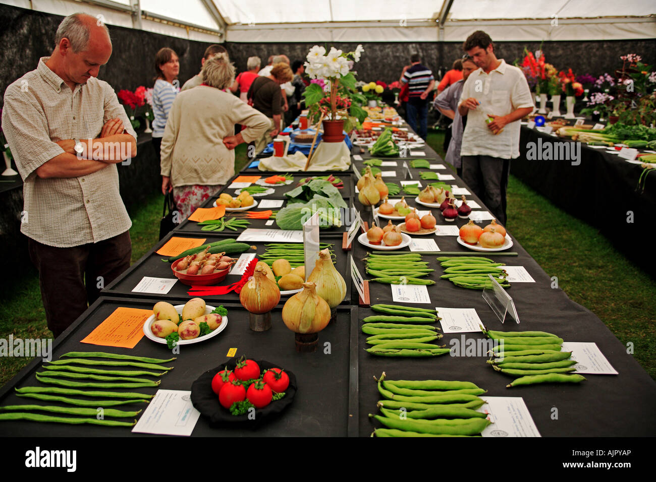 0058 Vegetables Kent Show Detling Kent England Stock Photo Alamy
