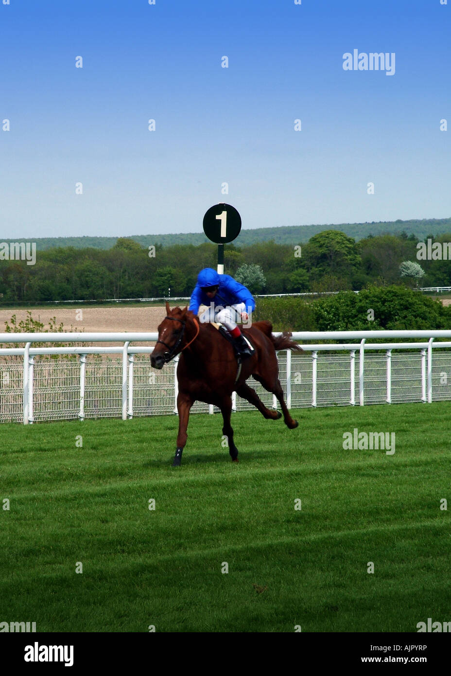 Horse horsepower horserace jockey derby mane motion place power hires stock photography and