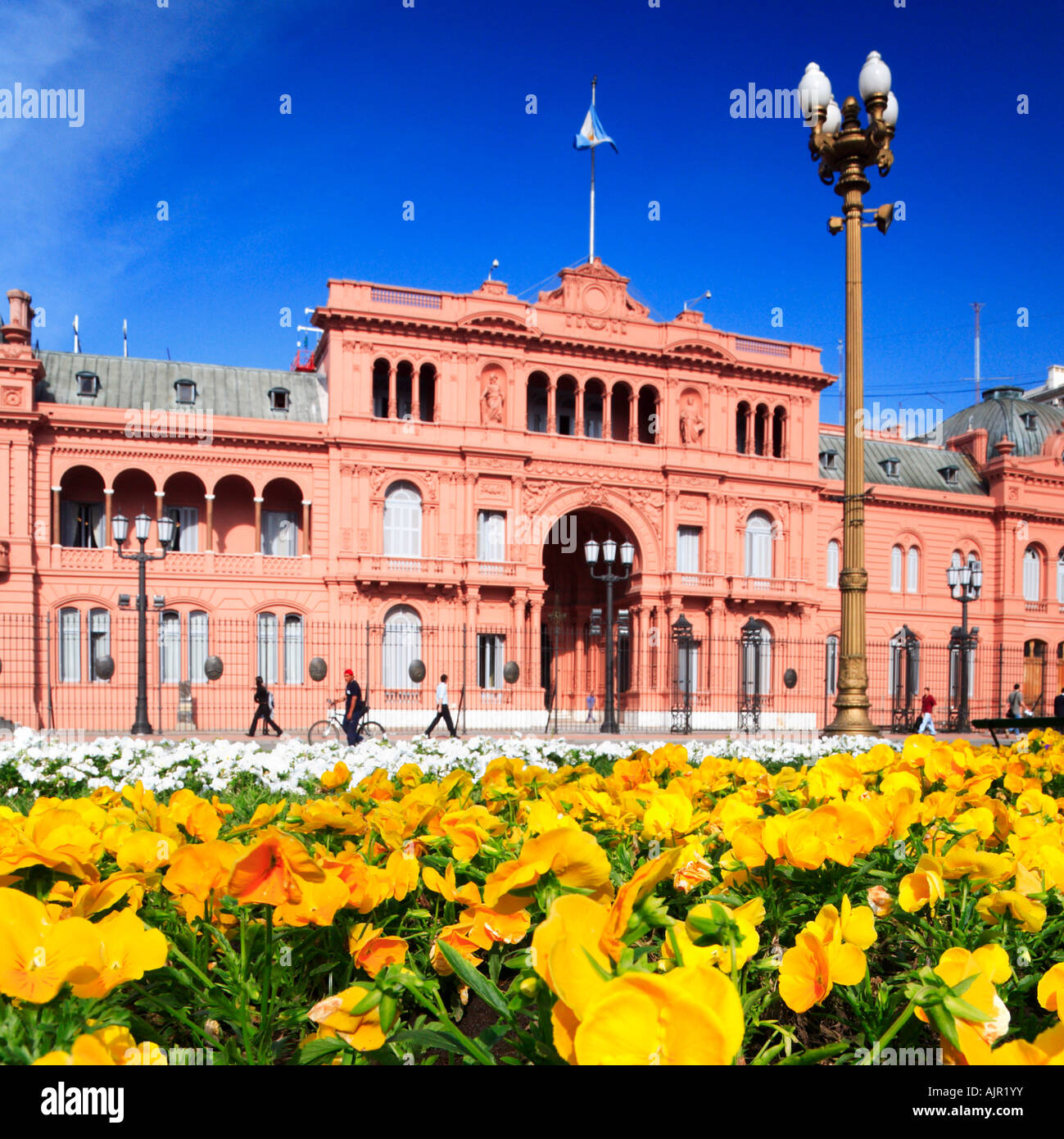 My Image 11