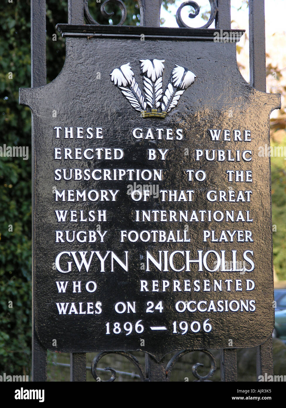 Gwyn nicholls hires stock photography and images Alamy