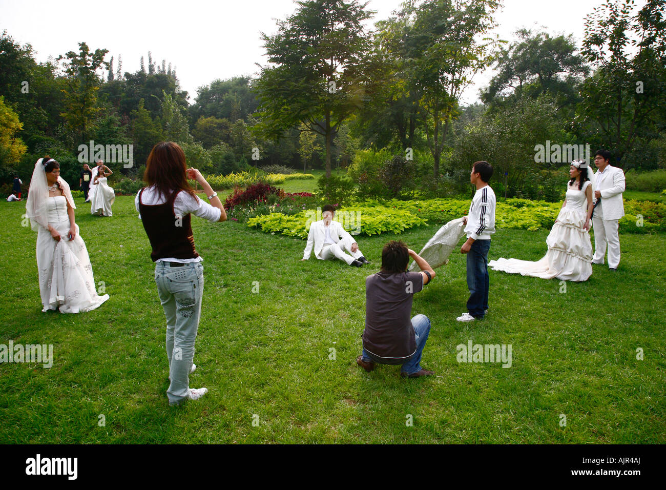 Couples taking wedding photos at Beijing Botanical Gardens Beijing China Stock Photo