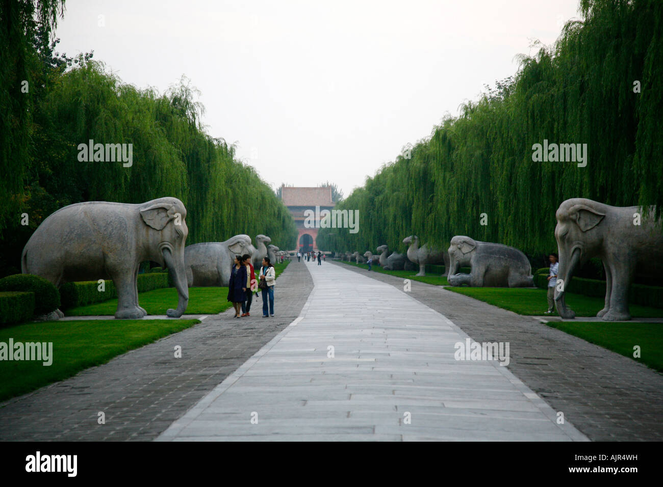 The Sacred Path Ming Tombs Beijing District China Stock Photo