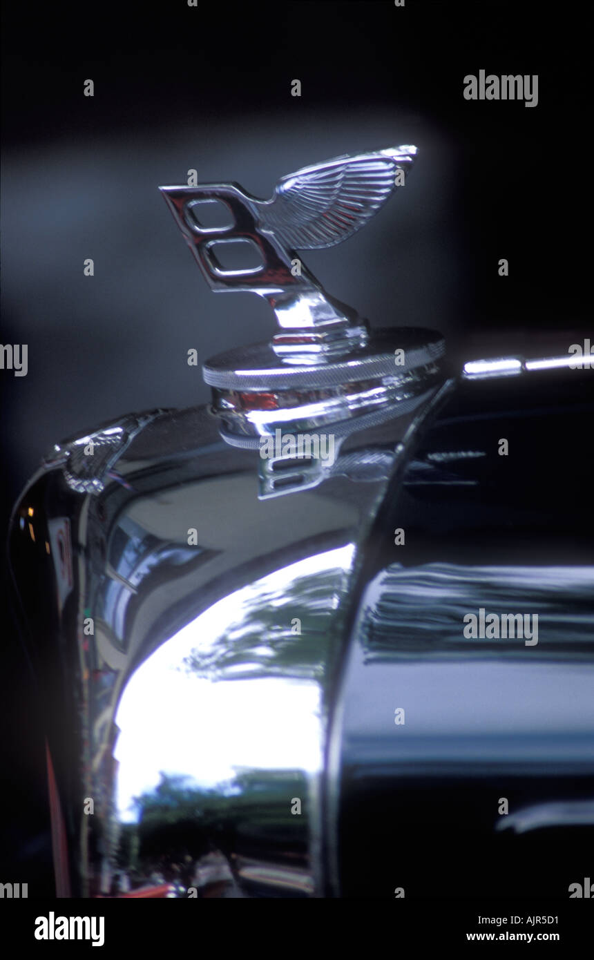 1951 Bentley Hood Ornament Stock Photo Alamy