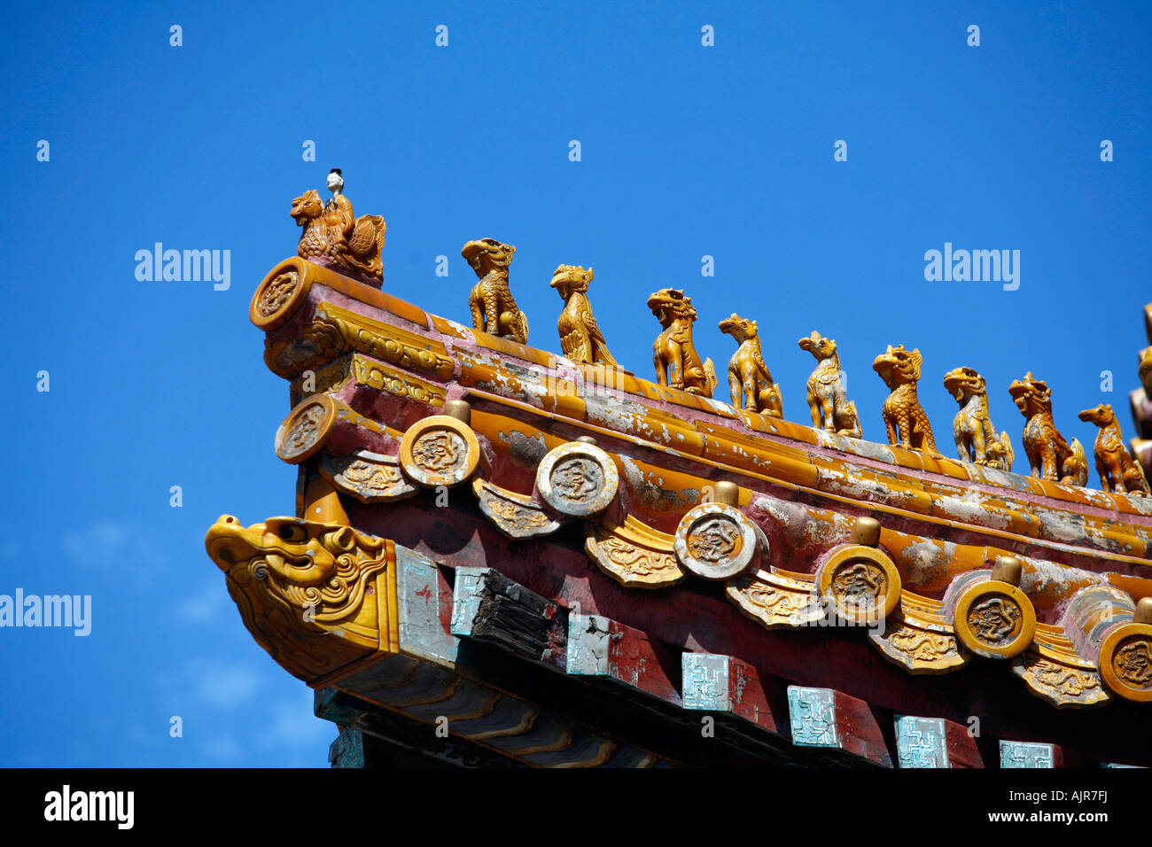 Detail of a roof in the Forbidden city Beijing China Stock Photo