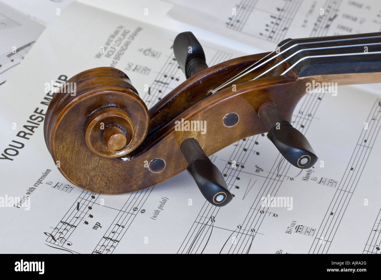 Violin closeup in detail Stock Photo - Alamy