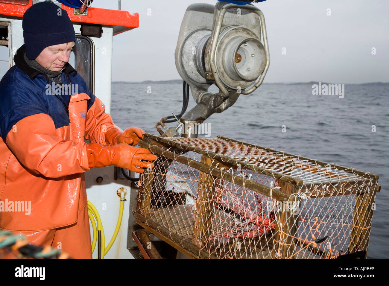 Nordic Fisherman on a boat prepares a wire lobster trap to be pushed in