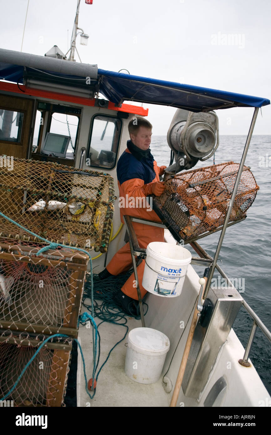 Nordic Fisherman pulls over a wire lobster trap after the hauler has