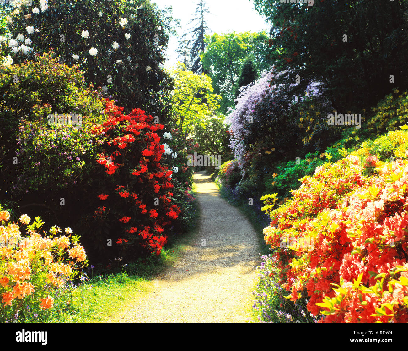 GB SUSSEX LEONARDSLEE GARDENS NEAR HORSHAM Stock Photo Alamy