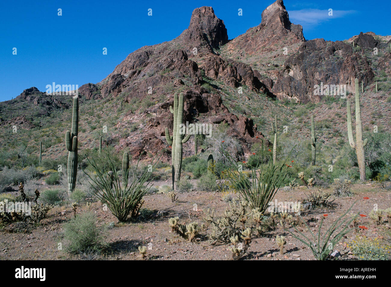 Castle Dome Mountains Stock Photo Alamy