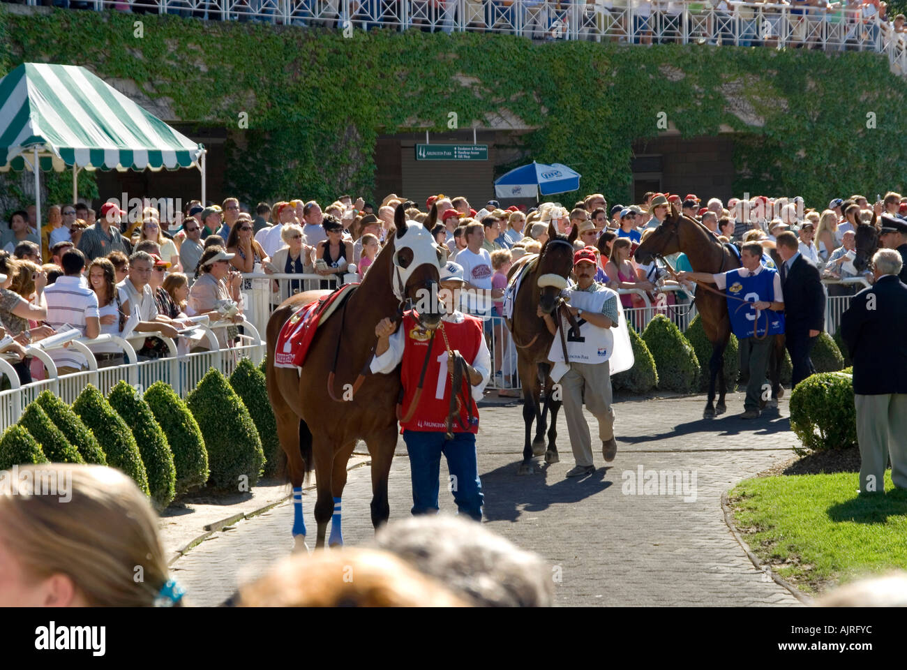 Horse Race Paddock Parade Stock Photo Alamy