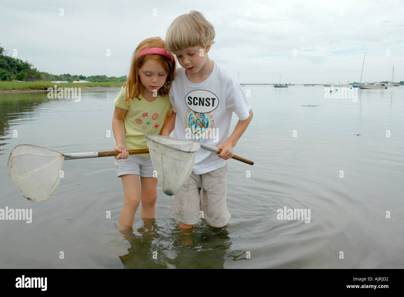 Kids hunting for crabs at the edge of marsh and wetlands in Polpis Harbor Nantucket Island, Massachusetts, USA Stock Photo