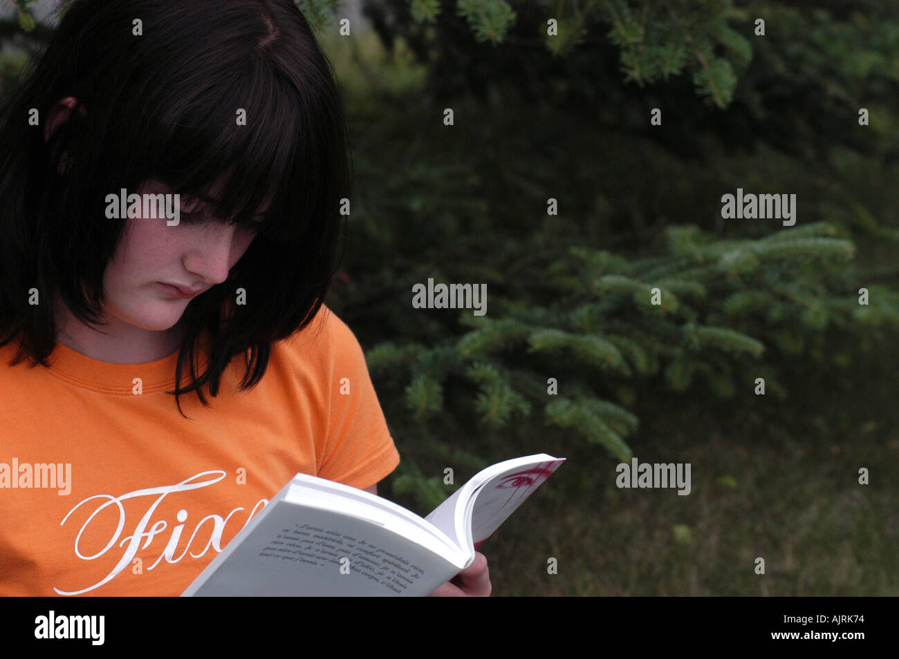Young woman reading a book Stock Photo