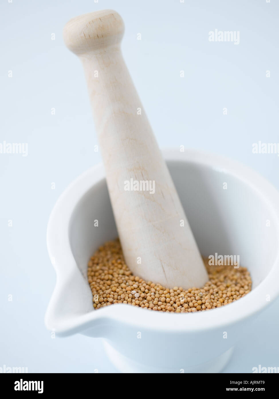 Mustard seeds with mortar and pestle - high end Hasselblad 61mb digital image Stock Photo