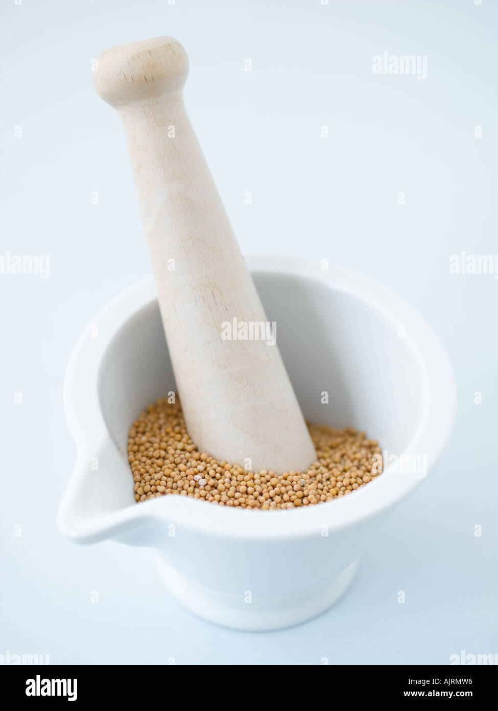 Mustard seeds with mortar and pestle - high end Hasselblad 61mb digital image Stock Photo