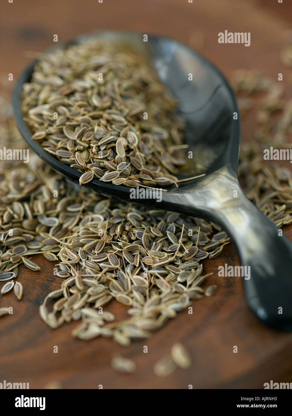 Dill seeds - high end Hasselblad 61mb digital file Stock Photo