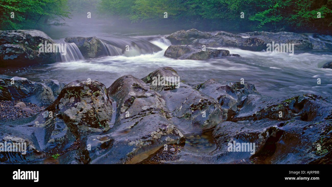 Water rushing downstream with wet rocks in the foreground Stock Photo