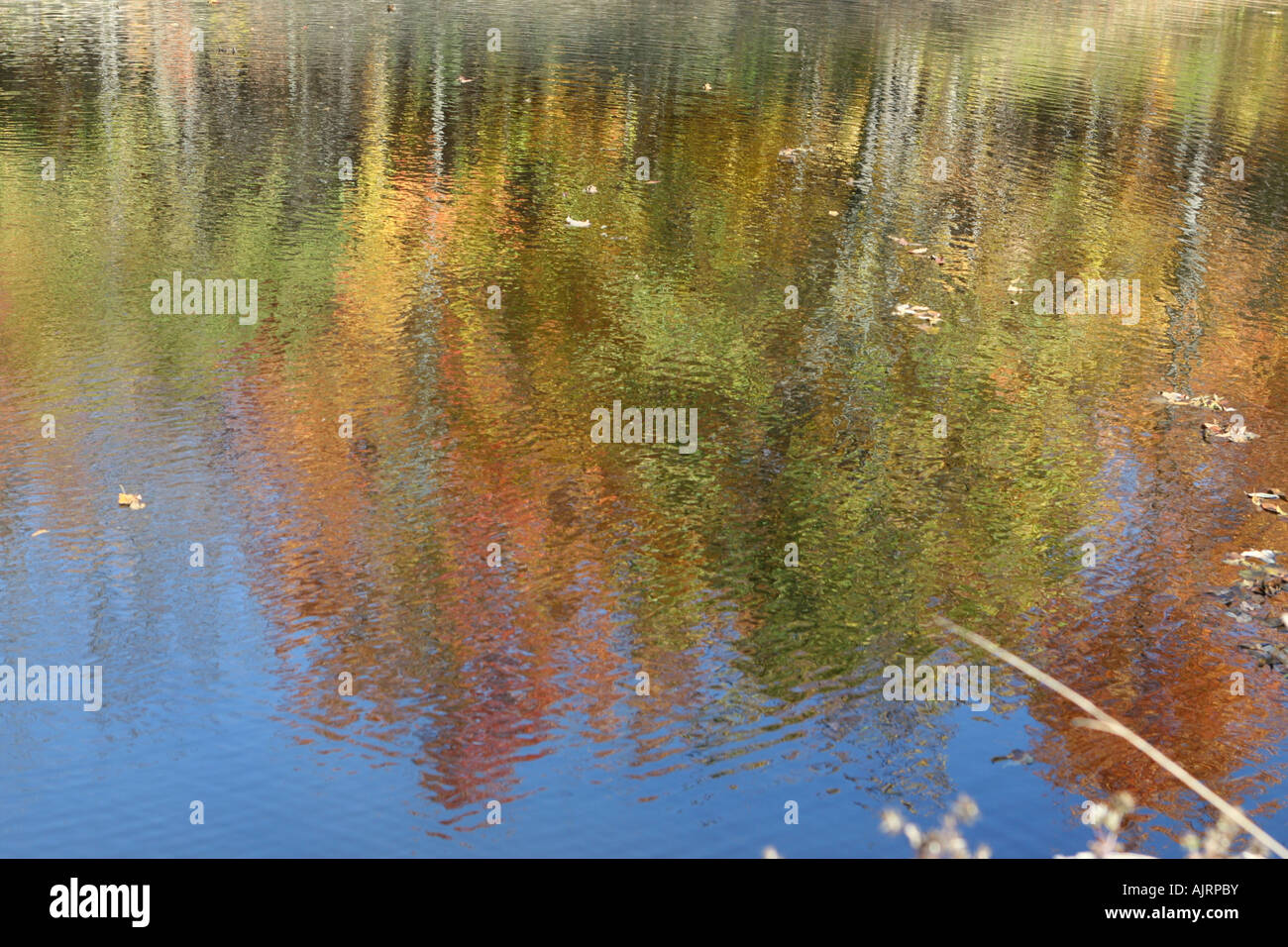 Reflecting Water Image Fall reflection on water of pretty colors of fall Stock Photo - Alamy