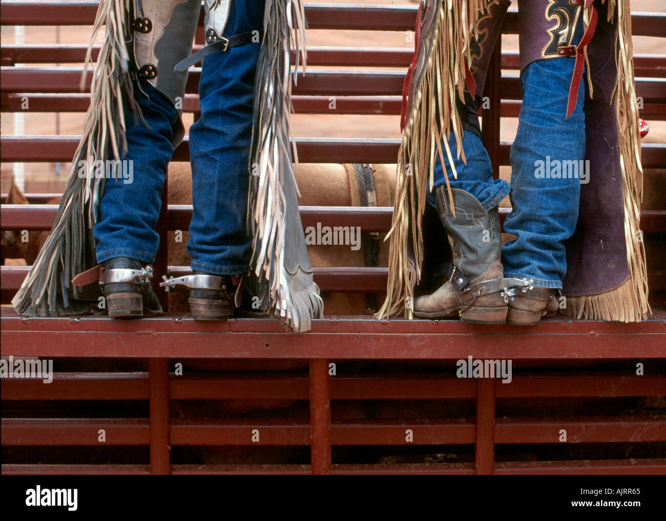 Clad in boots spurs and western chaps two rodeo cowboys prepare for their next turn to ride Stock Photo