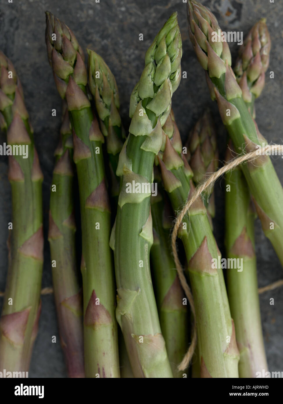 Asparagus shot with Hasselblad medium format digital Stock Photo